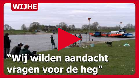 Hoopheggen-actie bij Wijhese Veer in Wijhe: "Wij wilden aandacht vragen voor de heg"