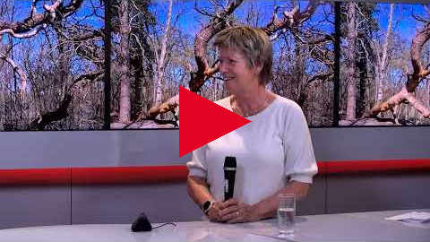 Salland Magazine: De Mooiste boom van Salland