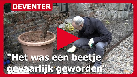 Nieuwe bestrating voor binnenplaats Mariakerk Deventer: "Het was een beetje gevaarlijk geworden"